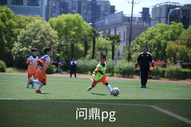 问鼎pg公司简介